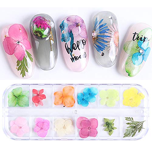 Dried Flowers for Nails,Real Natural Pressed Dry Flowers,12 Colors Dry Flowers 3D Applique Nail Art Resin Art Supplies,Dried Flowers for Resin Molds Nail Tips Manicure