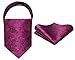 HISDERN Ascot Ties for Men Paisley Floral Ascot and Pocket Square Set Classic Self Tie Mens Hot Pink Cravat Handkerchief for Wedding Prom