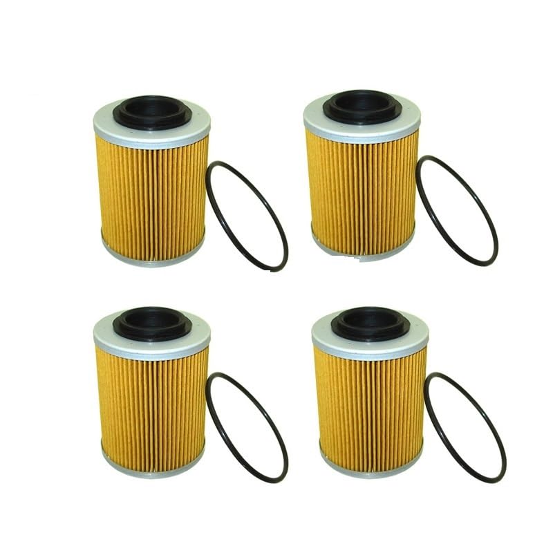 Bobines 420956123 pour Ski-Doo Expedition et Can-Am Maverick X3, l'aventure sans panne