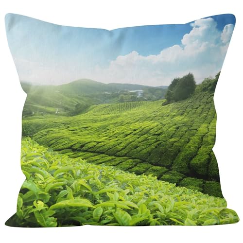 Ethereval Leinen Kissenbezüge Uni Kissenhülle Landhausstil 1Pcs, Wiese Kissenbezüge Jugendzimmer Kissenbezug XL Premiumtouch-Kissenbezüge 45x45cm