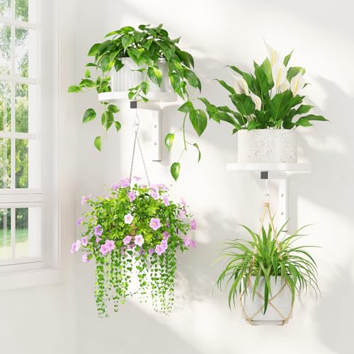 LASZOLA 2 Pcs Support Plante Mural Blanc, Etagere Fenetre Interieur