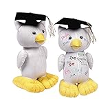Graduation Autograph Owl