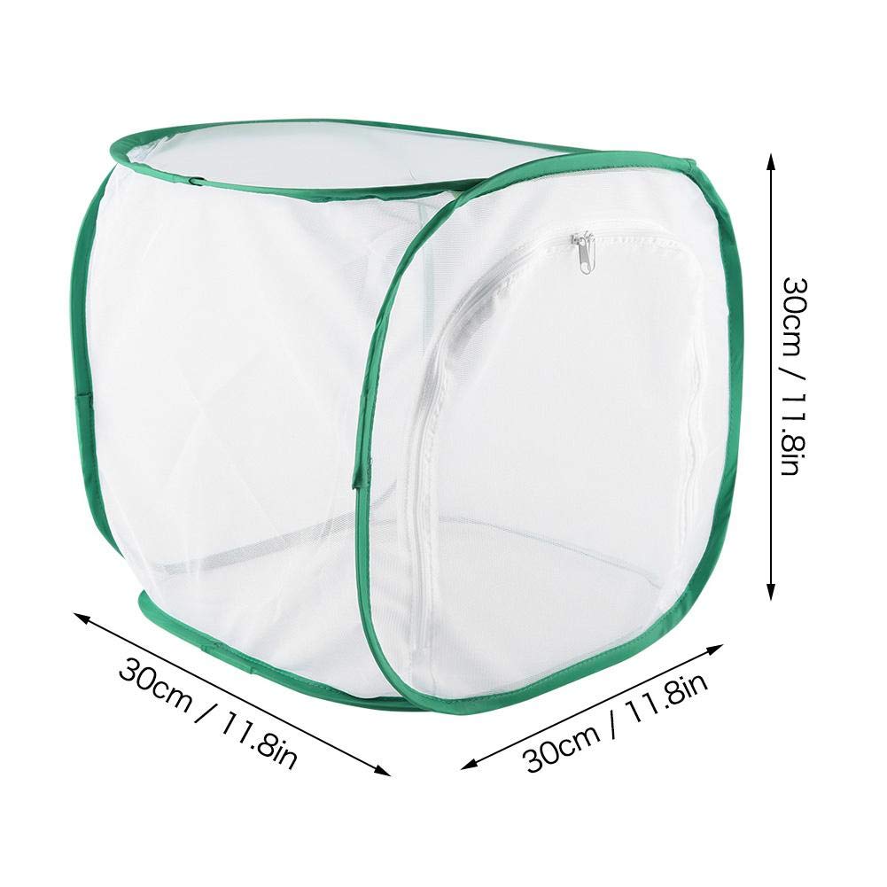 Grande Cage d'habitat pour Insectes et Papillons, Cage d'élevage ventilée avec matériau en de Fil de Polyester, Habitat Portable en Chenille, pour cultiver des Insectes (30 x 30 x 30 cm)