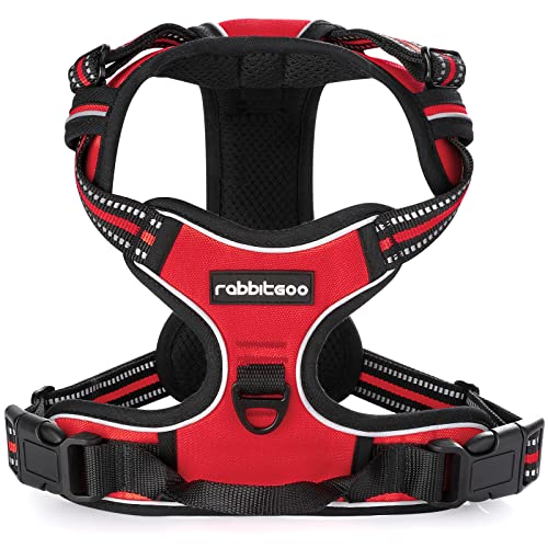 Image of rabbitgoo Dog Harness No Pull with 2 Leash Clips, Adjustable Soft Padded, Reflective Oxford No Choke Pet Vest with Easy Control Handle for Large Dogs, Red, XL