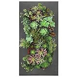Vandue Modern Home Living Wall Galvanized Steel/Zinc Succulent Planter (Rust Zinc, 12 Pocket)