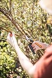 Fiskars Sekator nożycowy M, X-series PowerGear, P921, Z uchwytem rolkowym, do świeżych gałązek, Z powłoką antyadhezyjną, Ostrza ze stali nierdzewnej, Długość: 20,1 cm, Czarny/pomarańczowy, 1057173