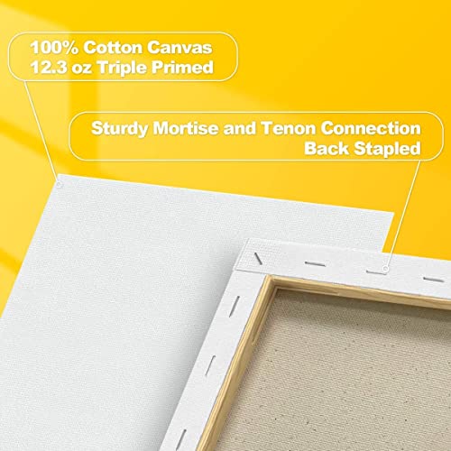 Stretched Canvases For Painting 8 Pack 9X12 Inch, 100% Cotton 12.3 Oz Triple Primed Painting Canvas, 3/4" Profile Acid-Free Paint Canvas Blank Canvas For Acrylic Pouring Oil Watercolor Painting #TOP1