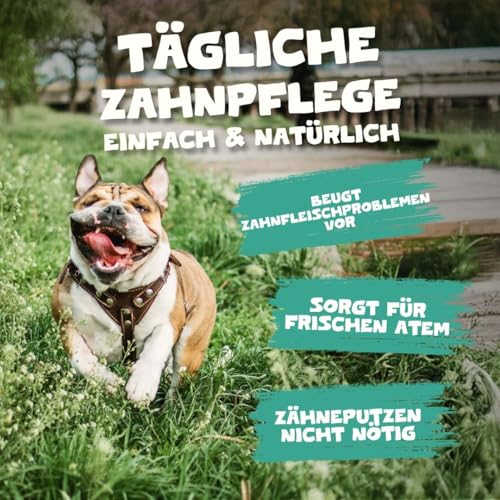 Pets Purest Zahnpflege Pulver - 100% Natürliche Zahnsteinentferner Hund, Katzen & Haustiere 185g. Zahnpflege Katzen & Hunde - für Mundgeruch, Zahnstein & Zahnfleischerkrankungen