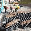 Honeycomb Plastic Driveway Grid, 5cm Geogrid Ground Stabilizer for Horse Farm/Parking RV Permeable Pavers, Grid Gravel System Filling Gravel Sand1m x 10m 3.3X33ft