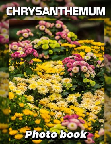 Chrysanthemum Photo Book: Stunning Floral Imagery of Chrysan
