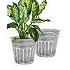 Vensovo 11 inches silver metal rustic plant pots 2 pcs large galvanized planters with drain hole and rubber plug rustproof tin bucket flowerpot for indoor plants farmhouse vintage style for decor  urban country home decor