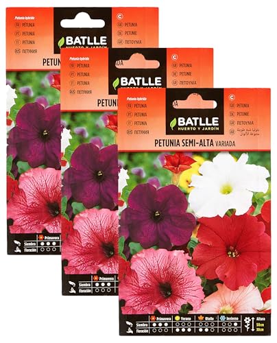 Petunia SEMI-ALTA variada (Paquete de 3)