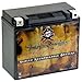 Pirate Battery YTX20HL-BS 310 CCA Maintenance-Free 12V 19Ah Battery Replacement for ATV, Harley Davidson Motorcycle, Jet Skis, Scooter, UTV, and More - Nut and Bolt (T3) Terminal