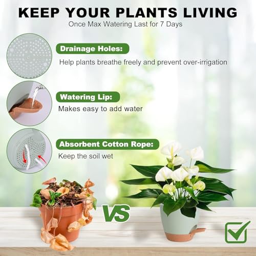 Image of INKULTURE Flower Pot for Indoor Plants - Self Watering Plant Pot Set of 5, Multi Size Plastic Planter with Drainage Hole & Watering Lip (7 /6.5 /6 /5.5 /5 Inch) Green | Pots for Home, Office & Succulents
