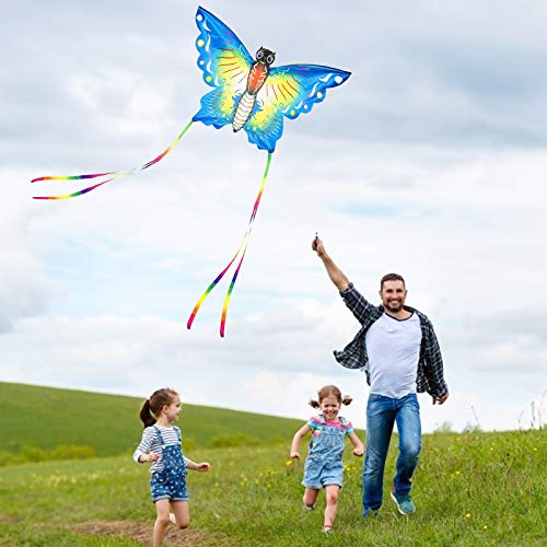 Listenman Pack of 2 Kites Large Rainbow Delta Kite and Butterfly Kite, Beautiful Kites for Kids and Adults, Easy Flyer Kite for Beach Great Outdoor Games and Activities with Family - Thumbnail 5