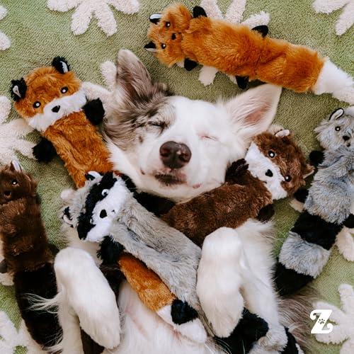 Image of ZippyPaws Skinny Peltz - No Stuffing Dog Toy Pack to Keep Them Busy, for Small and Medium Dogs, Squeaky Pet Toys, Unstuffed Chew Toys, Soft Plush Variety Pack, Fox, Raccoon, and Squirrel - 11 inch