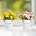 GoMaihe Pequeña Margarita Artificiales Decoración Jarrones, Flores Artificiales Decorativas Maceta 3Pcs, Plantas...
