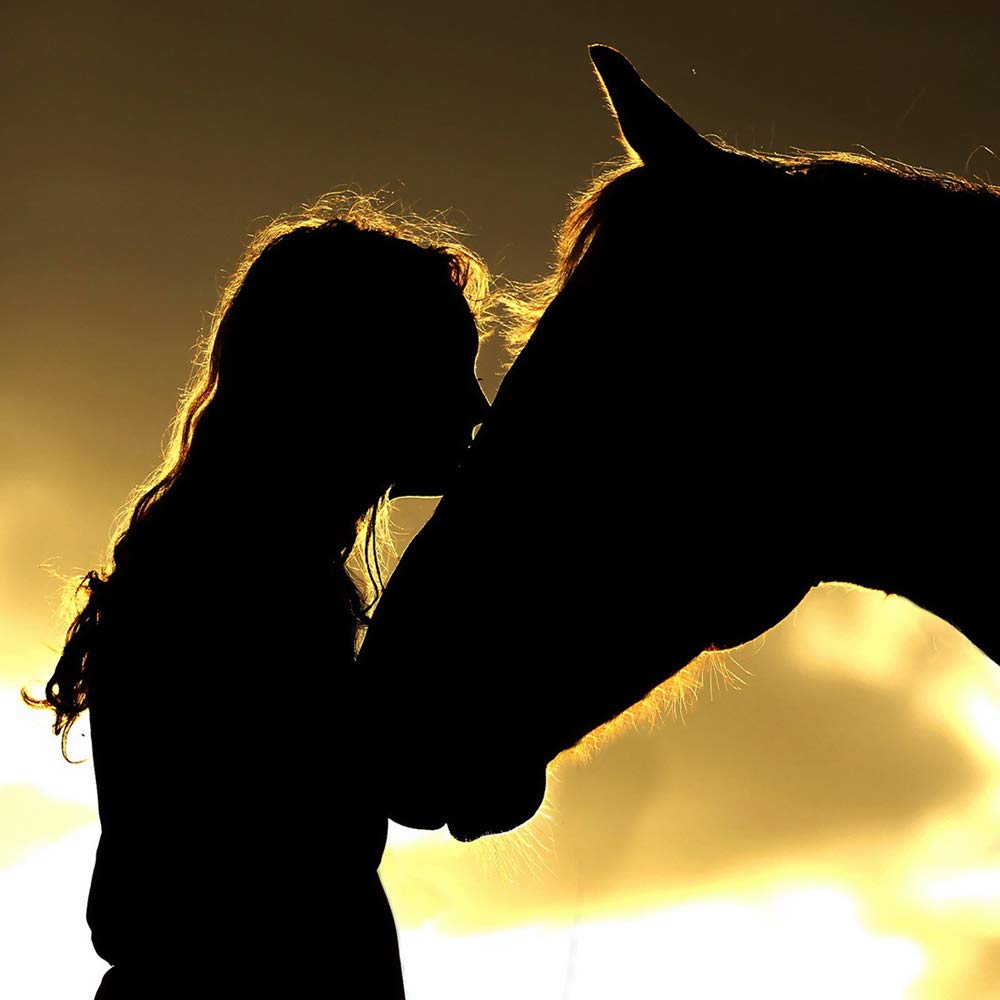 MONOOC Horse Necklace for Girls, Horse 