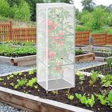 Zoom IMG-2 zistarlilife rete per uccelli da Zoom IMG-2 zistarlilife rete per uccelli da