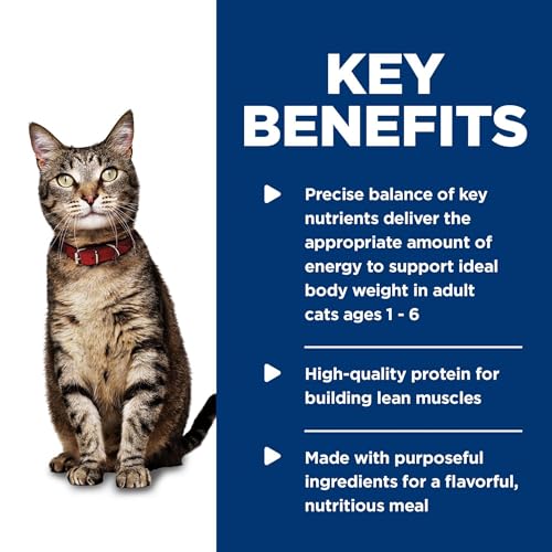 Hill's Science Diet Adult 1-6, Adult 1-6 Premium Nutrition, Wet Cat Food, Salmon Minced, 5.5 oz Can, Case of 24