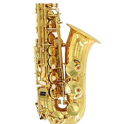 Alto Saxophone Gold Lacquer E Flat Jody Blues JAS-801 Beginner Student Sax with Tuner Mouthpiece Reeds Cloth Rod Pads Case - Thumbnail 6