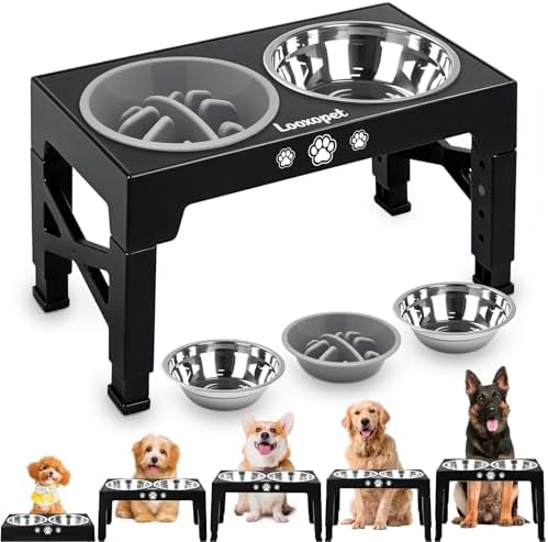 Comedouro Elevado para Cães Gatos Pet inox com Lento Cor Preto