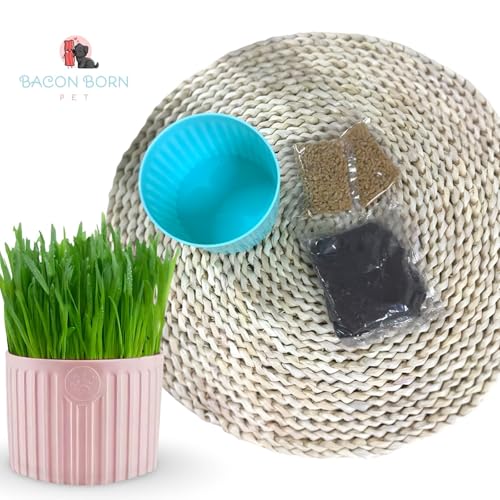 Kit 3 Graminhas Para Gatos Digestão Saudável Bola De Pelos Bacon Born Pet (Rosa - Kit 3)