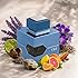 Al Haramain L'Aventure Ciel Extrait De Parfum Spray for Women, 3.4 Ounce
