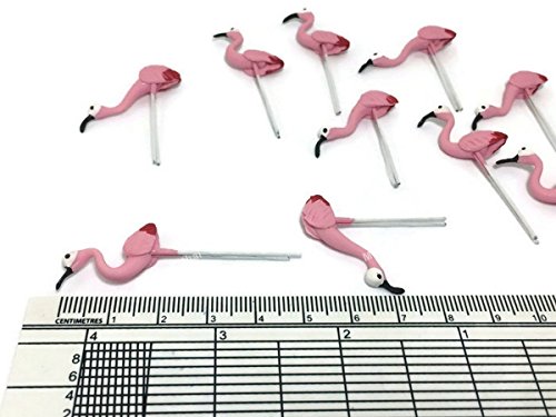 Lot Of 12 Miniature Flamingo Bird Fairy Garden Supplies Animal Figurine Furniture Dollhouse Gd#013 #TOP3