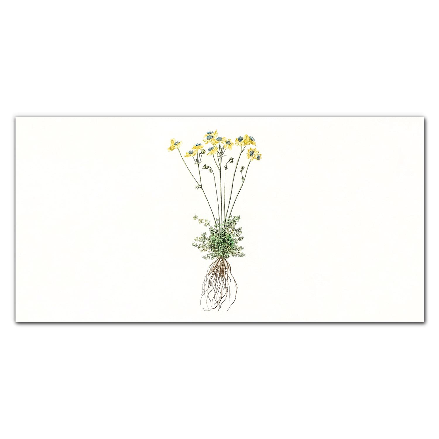 Crédence de cuisine verre trempé adhésive anti-projections motif fleurs de plantes