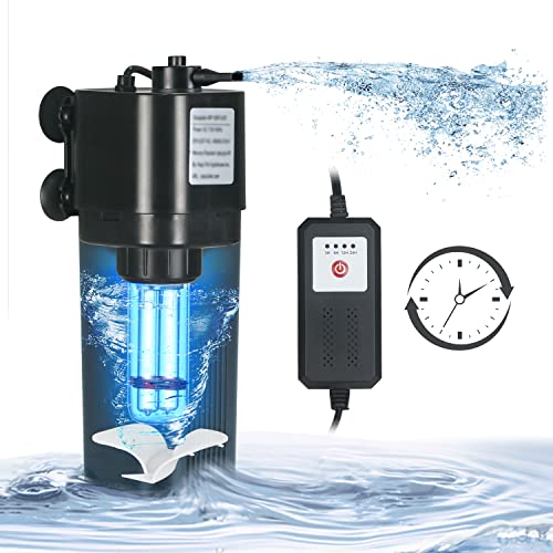 List of Top Ten Best Fish For Cycling A 10 Gallon Tank Top Picks 2023