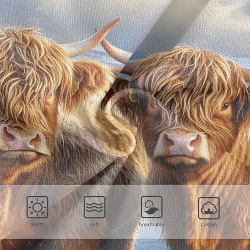 Two Highland Cows Winter Snow Toddler Girls's Underwear 2T 202b86213