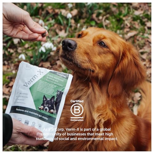 Verm-X Hunde - Leckerlis - 100 g