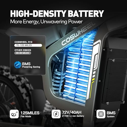 COSWHEEL R19 9000W Electric Dirt Bike