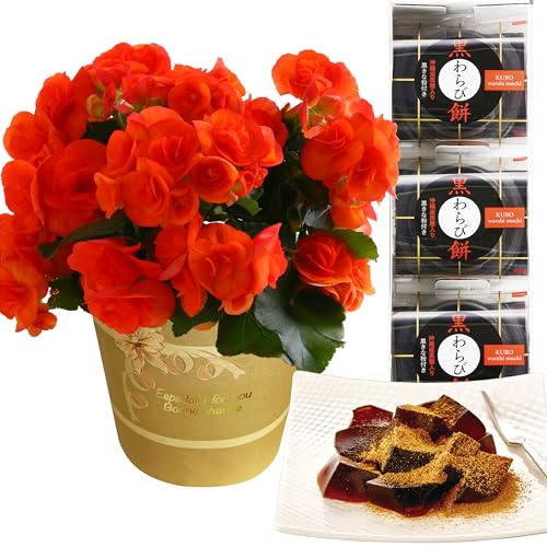 Ԃ̃Mtg [K[X  Mtg a v[g A  َq [K[XxRjA