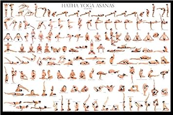 amazon com esak garcia hatha yoga asanas poster sports outdoors