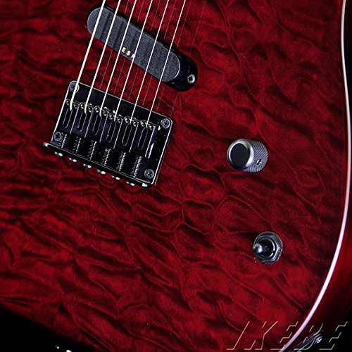 Amazon.co.jp: EDWARDS E-D-TE STDR エレキギター DIEモデル