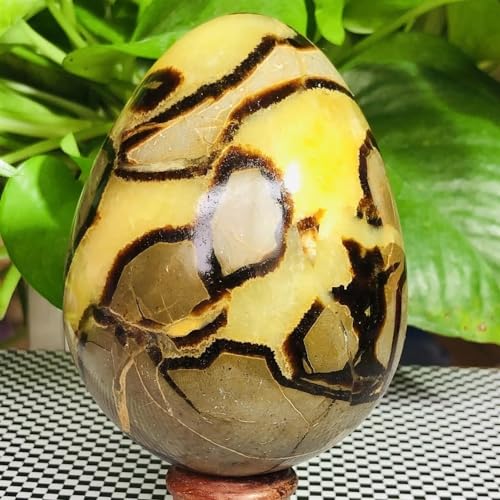 Œuf de dragon pierre de tortue en cristal de quartz géant de 800g