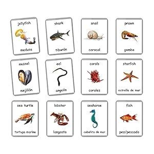 Sea Animals Flash Cards – 26 Laminated Flashcards | Ocean Animals | Water Animals | Homeschool | Multilingual Flash Cards | Bilingual Flashcards – Choose Your Language (Spanish + English)