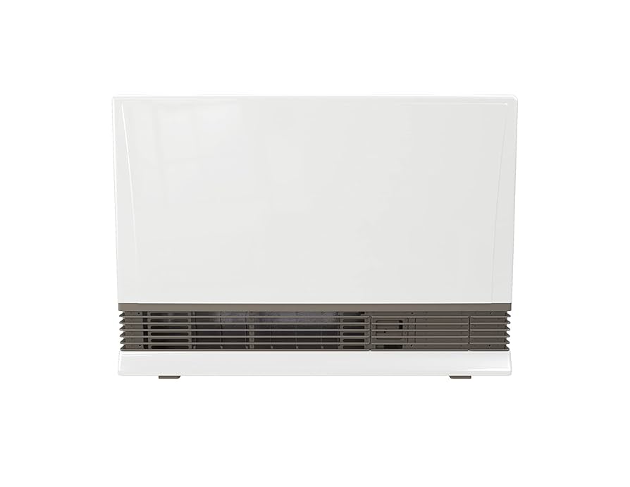 Amazon.com: Rinnai EX38DTWN Direct Vent Wall Furnace, Indoor