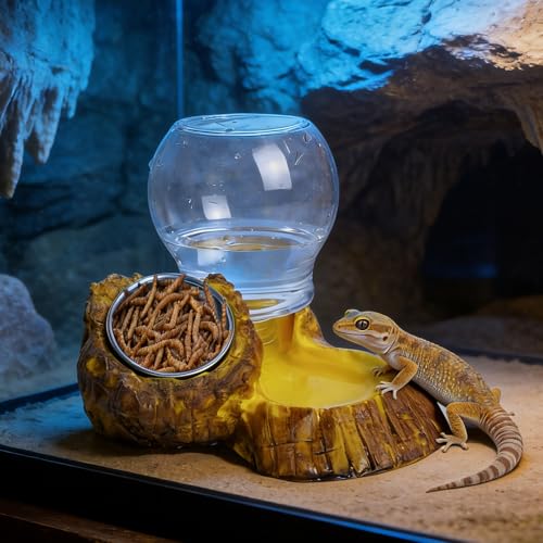 Abreuvement pour serpent et gamelle repas pour tortue terrestre - 4
