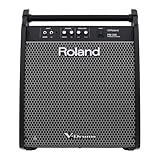 Roland PM-200 Compact Electronic V-Drum Set Monitor, 180 Watt (PM-200)