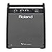 Roland Drum Monitor (PM-200)
