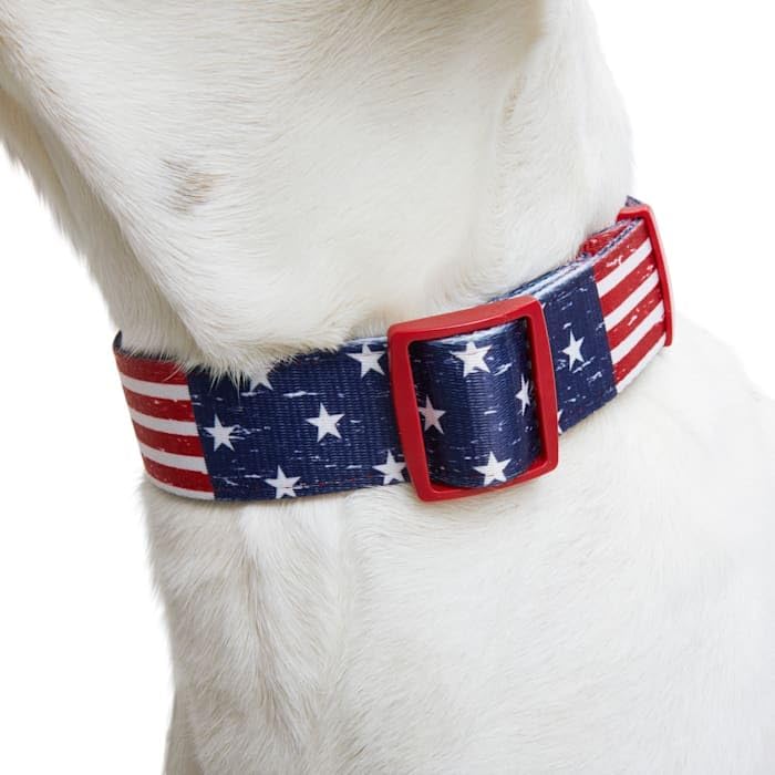 YOULY by Petco American Flag Dog Collar American Flag X-Large/XX-Large