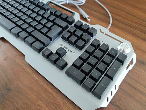 Teclado Gamer SEUNKWANG con Retroiluminación Azul USB-A miniatura 2