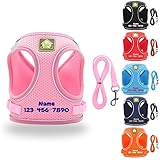 DegGod Puppy Harness and Leash Set for Small Dogs Personalized Name Phone Number, No Pull Adjustable Reflective Pet Harness, Breathable Soft Vest Harness for Puppies Small Dogs Cat Walking,XS