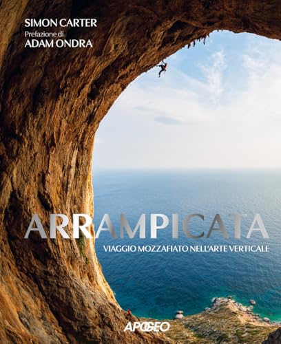Arrampicata. Viaggio mozzafiato nell'arte verticale. Ediz. illustrata