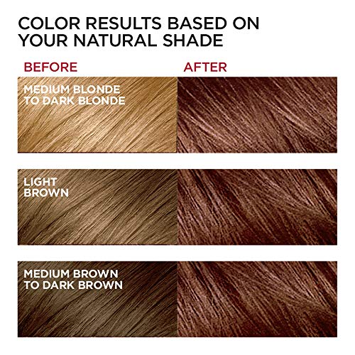 Image of L'Oreal Paris Excellence Creme Permanent Hair Color, 6 Light Red Brown,100 percent Gray Coverage Hair Dye, Pack of 3
