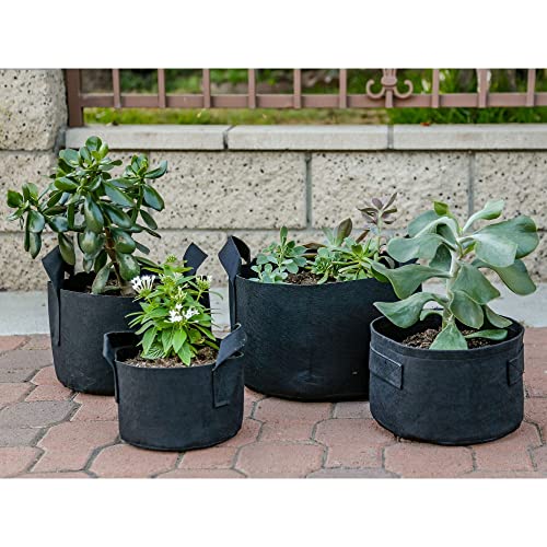 247Garden 5-Pack 5-Gallon Aeration Fabric Pot/Plant Grow Bags W/Handles (260 Gsm, Black, 10H X 12D) #TOP7