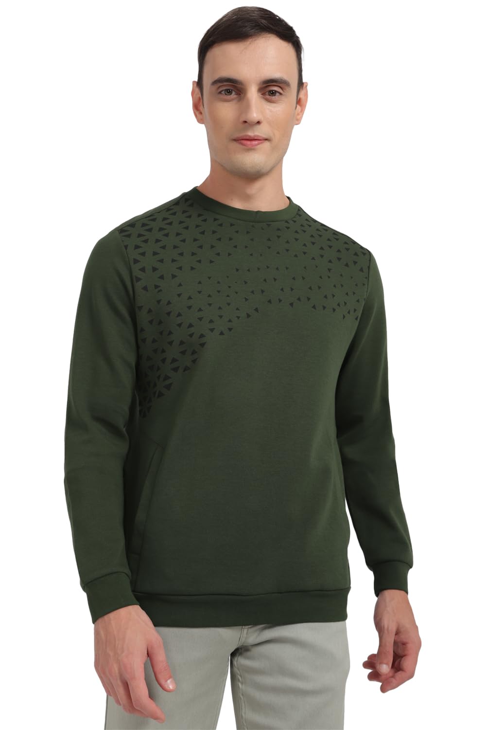 allen solly Men Cotton Crew Neck Sweatshirt-picture-15